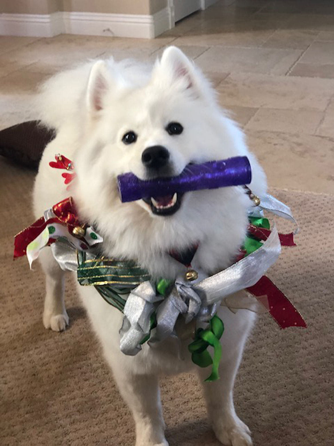 winston